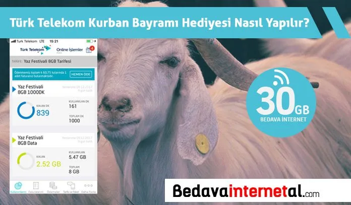 Türk Telekom bedava internet