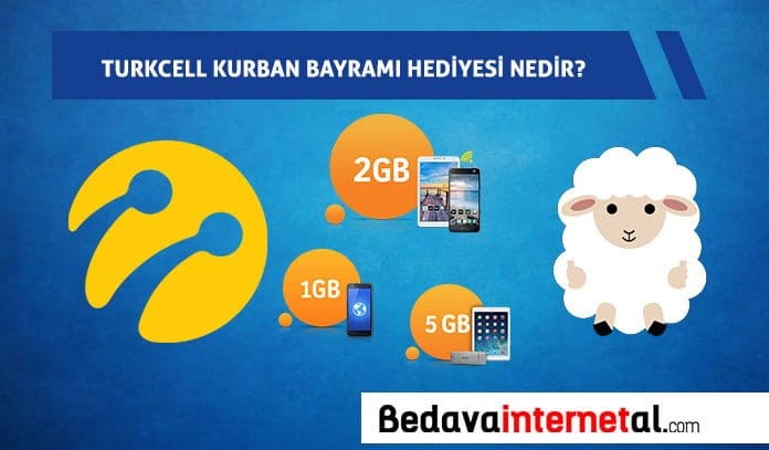 Turkcell internet